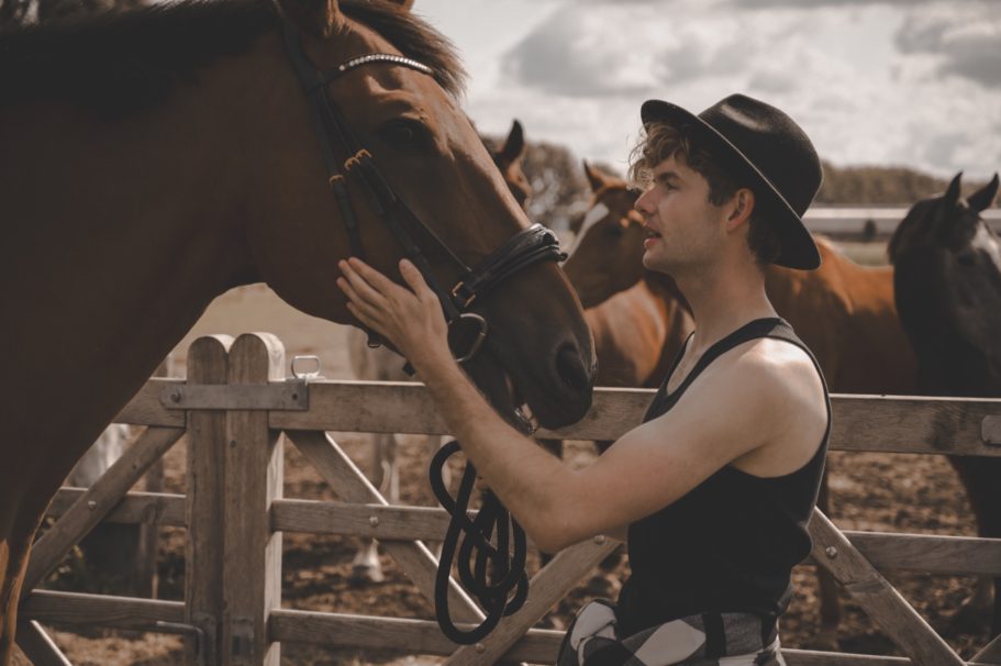 DKS Horses x TVM Models DKS Horses x TVM Models